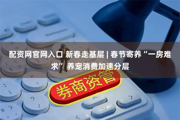 配资网官网入口 新春走基层 | 春节寄养“一房难求” 养宠消费加速分层