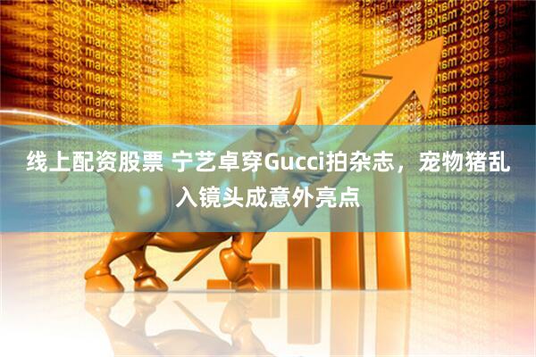 线上配资股票 宁艺卓穿Gucci拍杂志,宠物猪乱入镜头成意外亮点